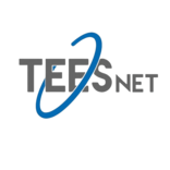 teesnet.com.mx